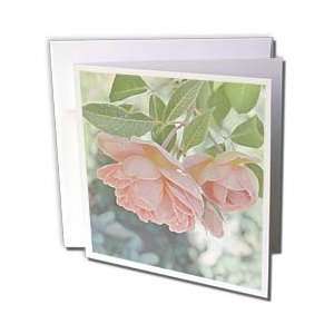 com Patricia Sanders Flowers   Peach Roses Floral Art Flowers Designs 