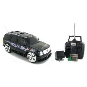   Electric RTR Remote Control RC Truck (Color May Vary) Patio, Lawn