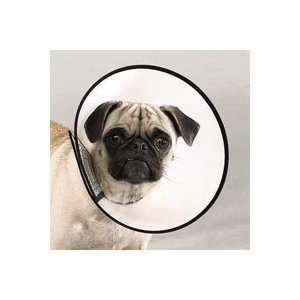 Dog Elizabethan Collar X Small 8 For Fast Healing  Kitchen 