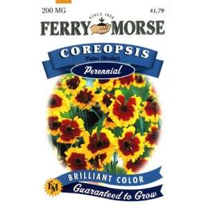  Ferry Morse Perennial Flower Seeds 1662 Coreopsis   Plains 