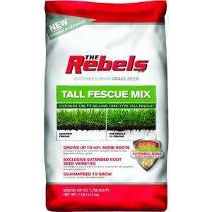   Seed Inc 100081770 REBELS Tall Fescue Mixture Patio, Lawn & Garden