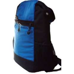 Sporty outdoor backpack with main insulated section that holds approx 