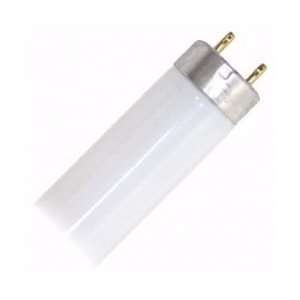   T8 Fluorescent Tube Light Bulb, Daylight 6500K