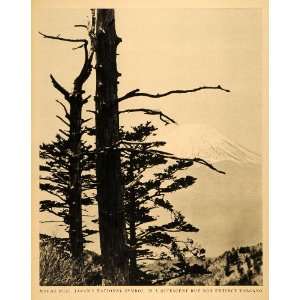  1944 Print Mount Fuji Landscape Mountain Japan Tree 