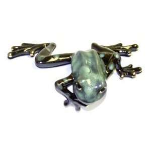  Green Dotted Leg Shelf Frog ~ 3.5 x 6.5 Inch