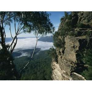  View from the Three Sisters of Jamison Valley Under Fog 