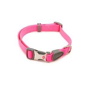   Inch by 10 14 Inch Adjustable Collar, Hot Pink