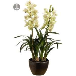    34 Potted Artificial Green Cymbidium Orchid Plant