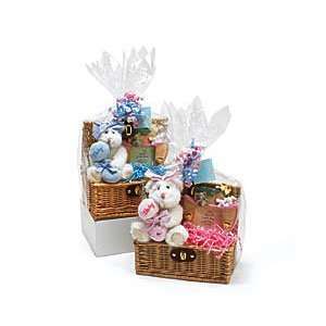 Kosher Gift Basket   Teddy Bear Baby (USA)  Grocery 