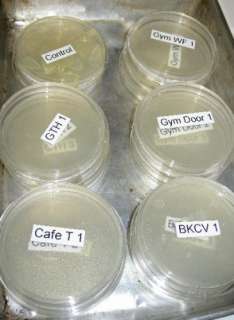 We used the P touch 2430 label maker to label the petri dishes. Be 