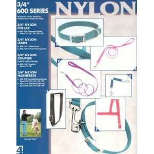  Single Ply Nylon Leashes 3/4 x 4 Hunter Green Pet 
