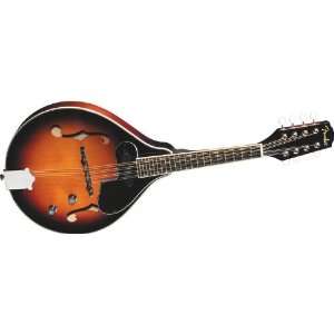    Fender Fm 52E Acoustic Electric Mandolin Musical Instruments