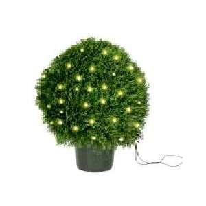   Tree with 50 Clear Lights in Green Round Plastic Pot