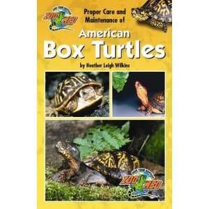  Proper Care Of American Box Turtles