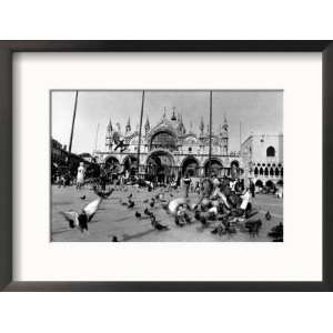  People Feed Pigeons at Saint Marks Square Collections 