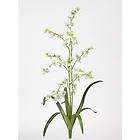 NEW 6 ARTIFICIAL SILK GREEN LADY ORCHID FAKE FLOWERS By