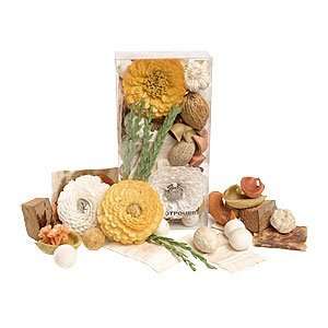  Late Summer Potpourri, White and Yellow Health & Personal 