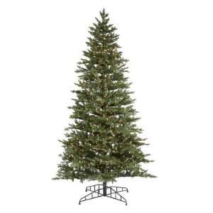   Waseca Frasier Fir Pre lit Clear Christmas Tree