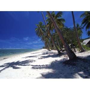 Tambua Sands Resort, Palm Trees and Shadows on Beach, Coral Coast 