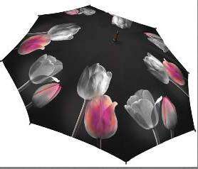 Here you will find a variety of umbrellas and bags that can satisfy 