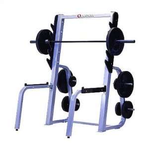   Commercial Squat Rack with Plate Storage QWT 106