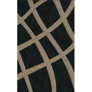    Rugstudio Riley DL24 Black Silver 5 X 8 Area Rug