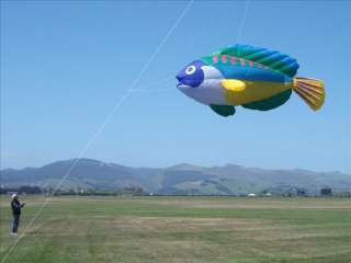   Christophe Goy Giant Inflatable Peacock Wrasse   Line Laundry Kite