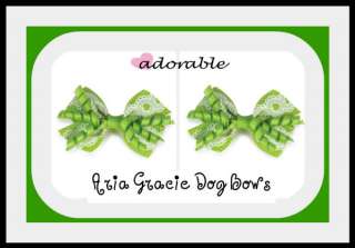 Green Gracie KORKERS ARIA Dog Bows Set with Bands  