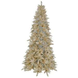  Christmas Tree   Champagne Ashley Spruce   K884176