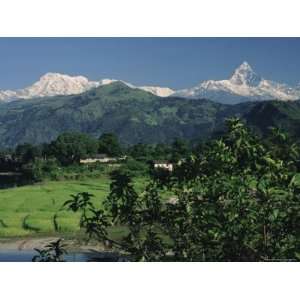 Mount Machapuchare (Machhapuchhare), Himalayas, Nepal, Asia Stretched 