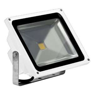 50 Watt   LED   Waterproof Flood Light Fixture   Soft White   Operates 