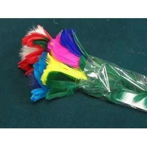  Feather Bouquet #29   15   Flower / Stage Magic T Kitchen 