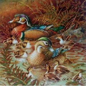  Springbok Wood Duck Family Outing 500+ Pcs Jigsaw Puzzle 
